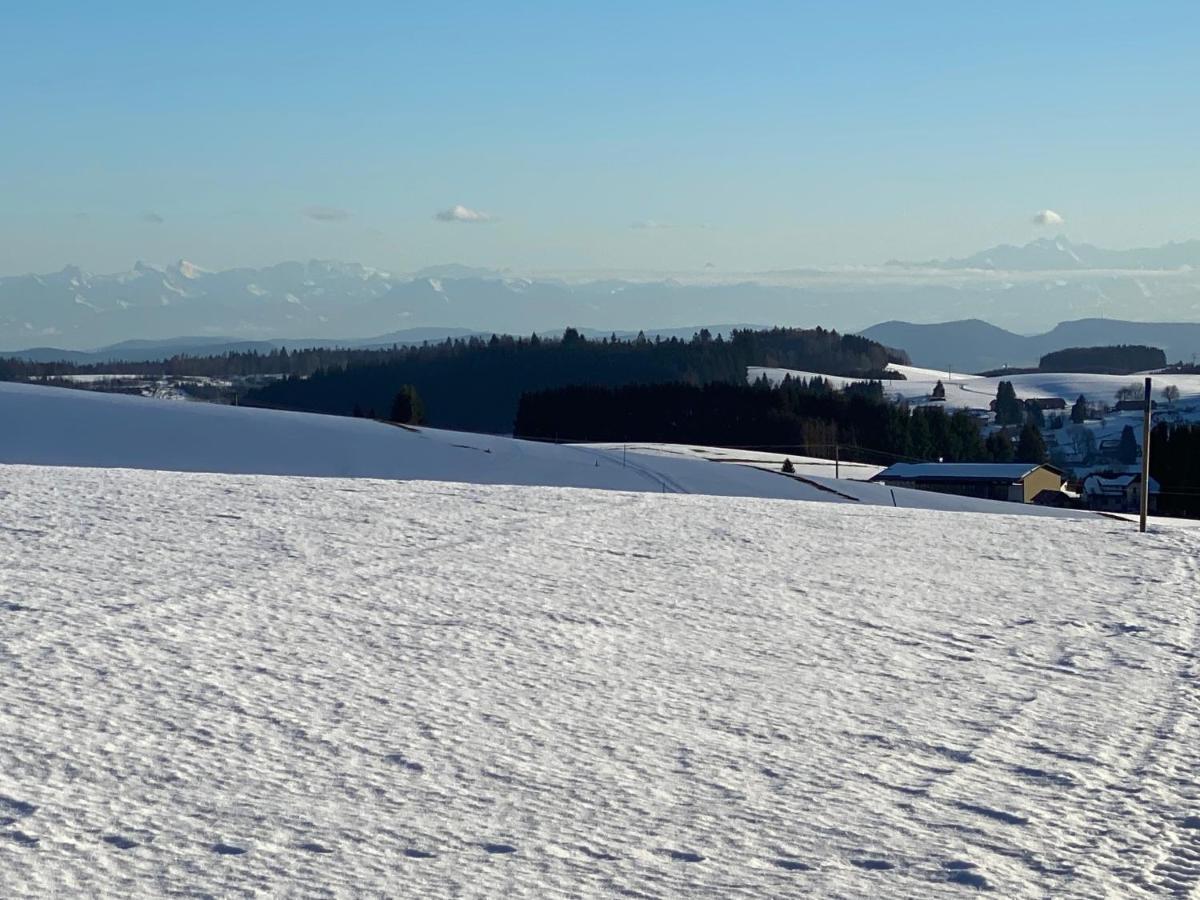 Appartement Bergwaerts Rickenbach  Экстерьер фото